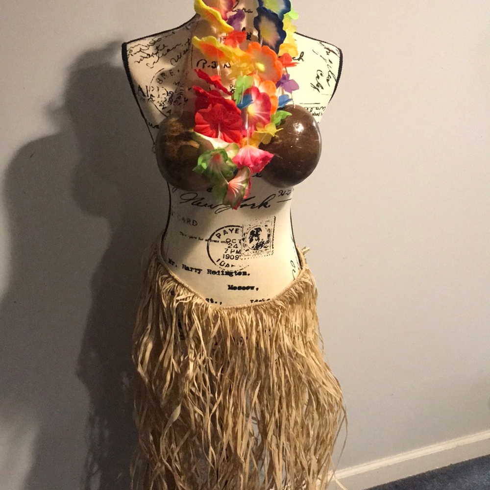 Hawaiian hola skirt and coconut bra costume